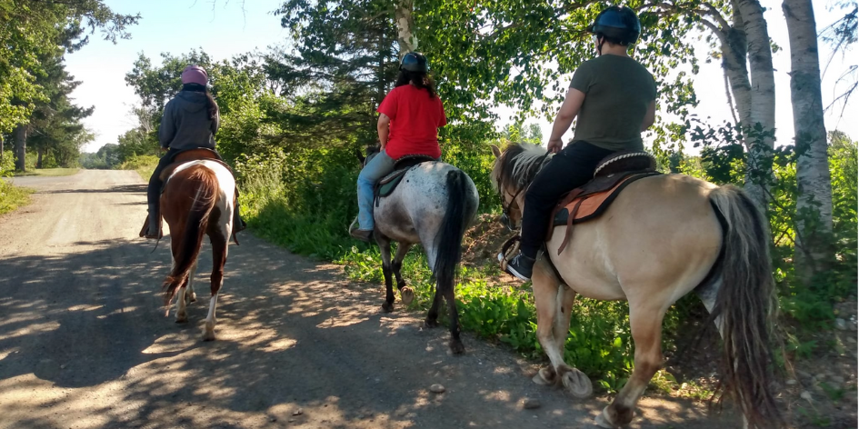 Horse Heaven Stables